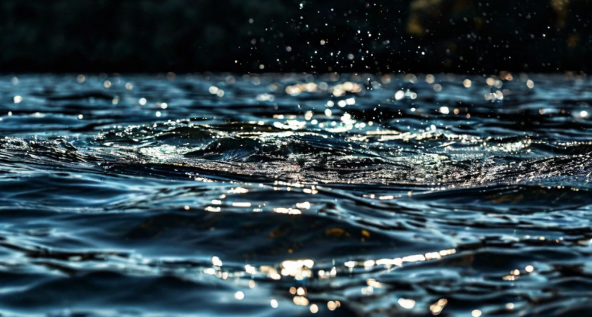 Двух пропавших нашли мертвыми в Воронеже