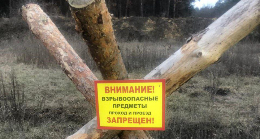 Глава воронежского муниципалитета призвал жителей не ходить в леса из-за риска для жизни