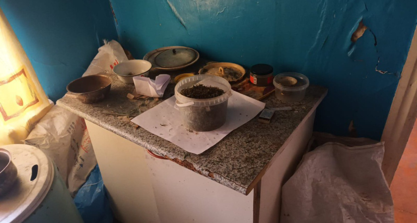 Более 3 кг марихуаны «для личного употребления» нашли и изъяли полицейские в Воронежской области