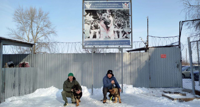 Джаза и Джуну отправили в Адыгею из воронежской колонии
