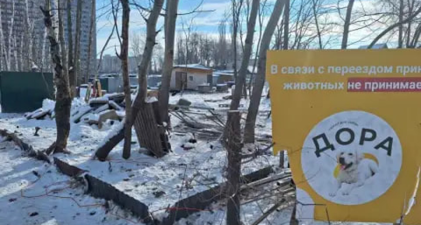 В Воронеже начался снос забора приюта для собак «Дора», который более 20 лет находился на левом берегу
