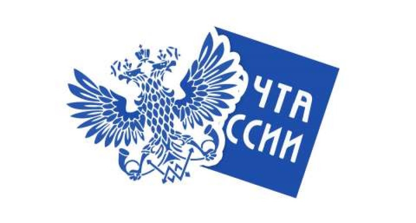 Воронежцы отправили более 5,5 тысяч бесплатных посылок в зону СВО 