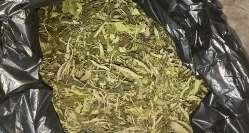 Полицейские задержали жителя Воронежской области с «запасом» наркотиков