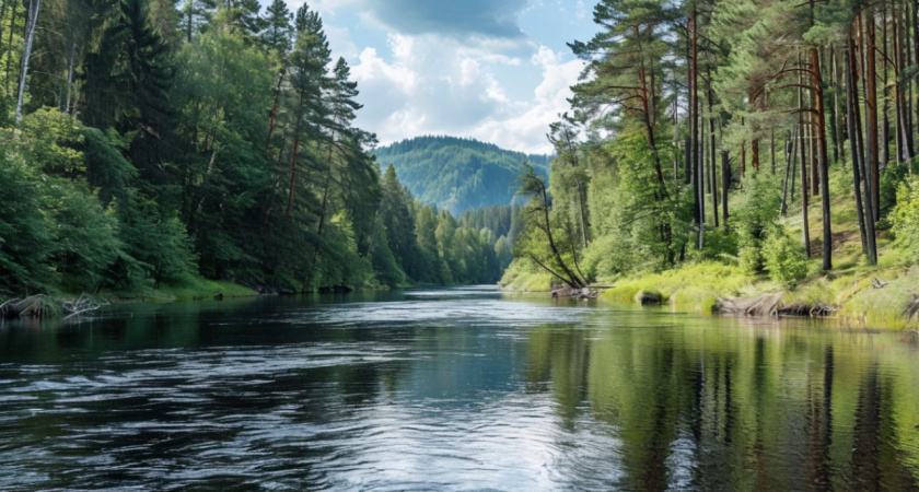 5 рек обследуют в Воронежской области