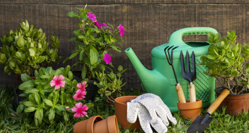 Воронежских дачников обяжут платить новый налог