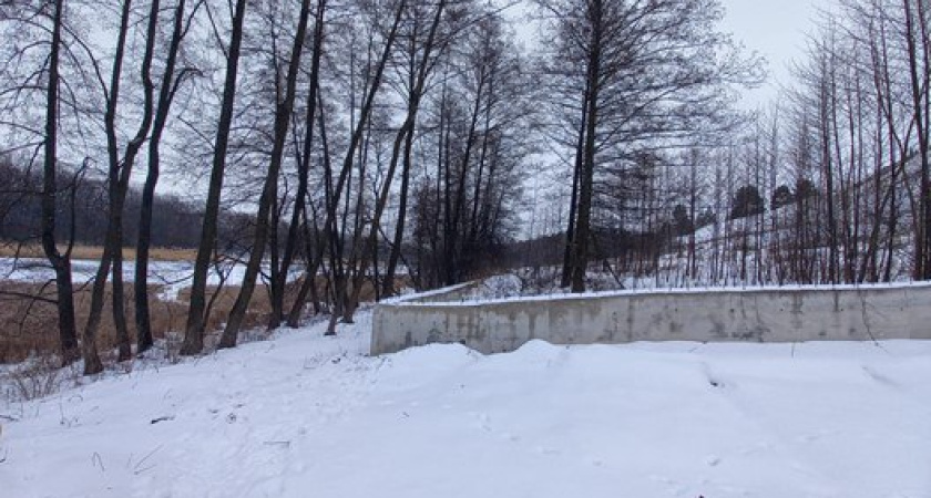 Росприроднадзор обнаружил ограничение доступа к реке Воронеж