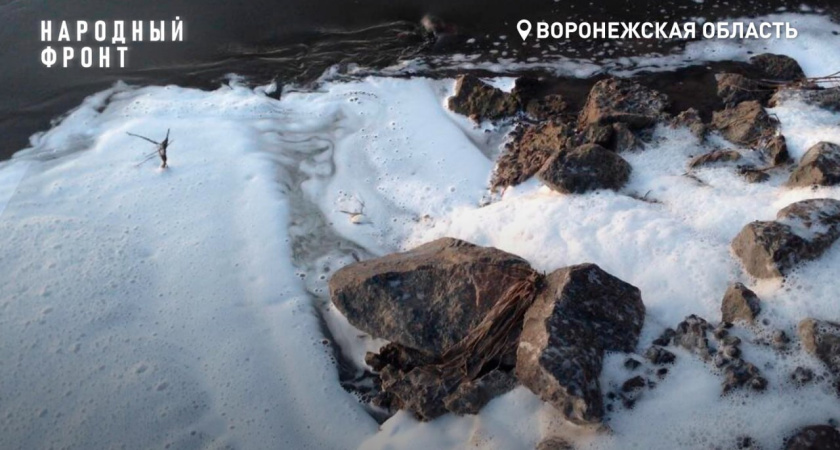 Расторгнут контракт с компанией, загрязняющей реку Дон в Воронежской области