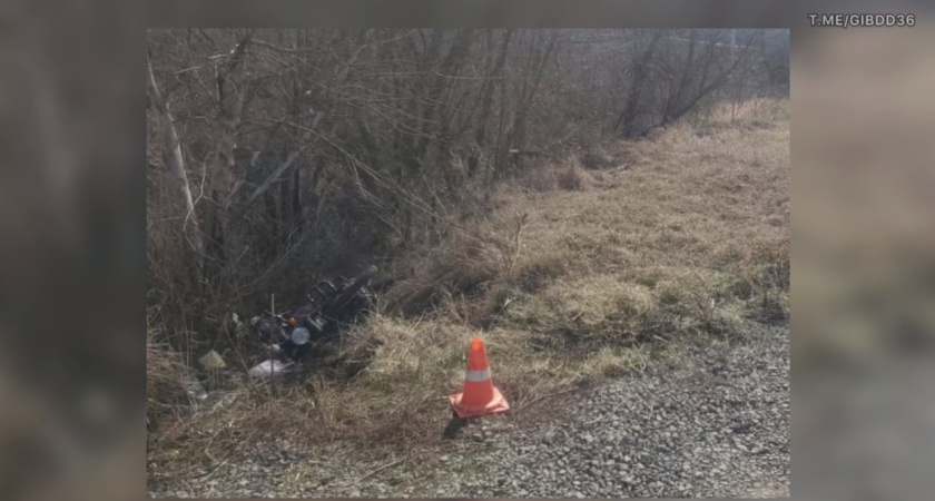 В Воронежской области погиб водитель мопеда в результате ДТП