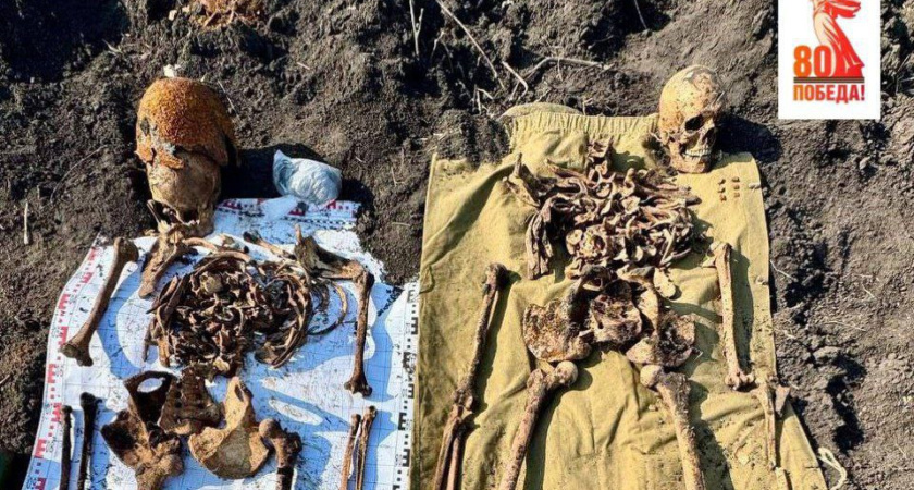 Под Воронежем найдены останки двух красноармейцев