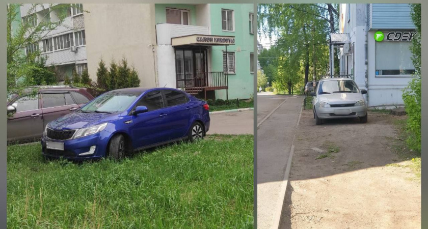 В Воронежской области предложили ужесточить наказание за нарушения благоустройства