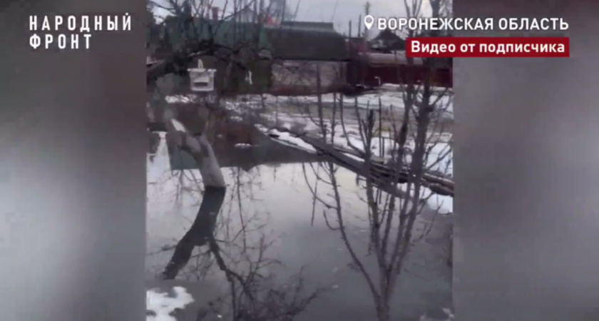 Жители воронежского Борисоглебска вынуждены строить дамбы, спасаясь от затоплений