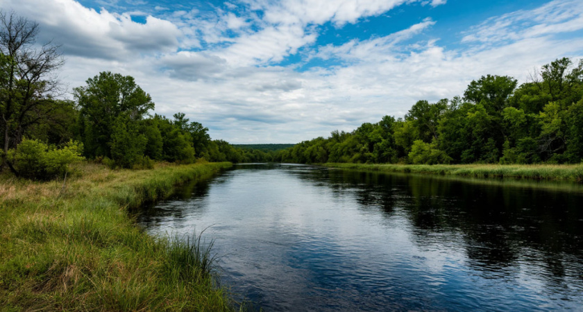 В Репьевском районе неизвестные сливают химические отходы рядом с хутором Заречье