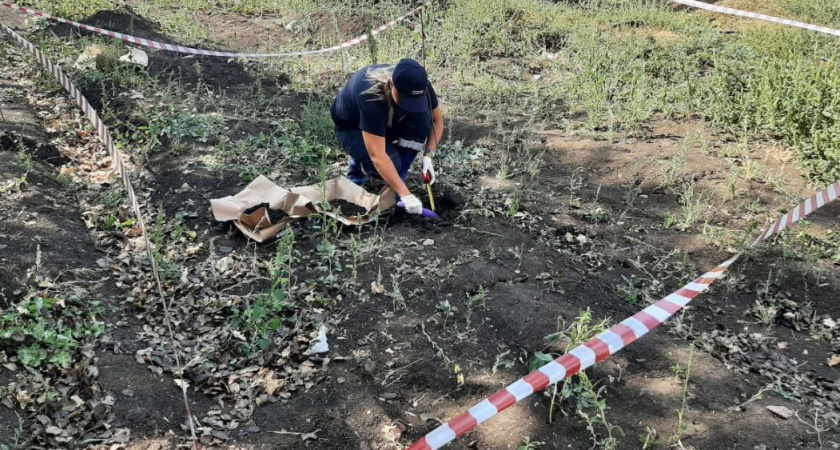 Владелец участка в Воронежской области возместил ущерб почвам после сброса канализационных стоков возле кафе «Помпончик»