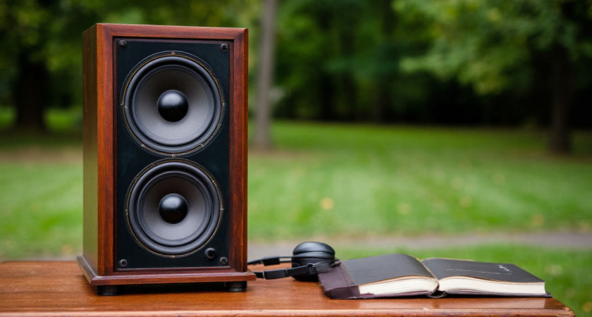 Громкоговорители в Воронеже «воскресили» Жириновского в его День рождения