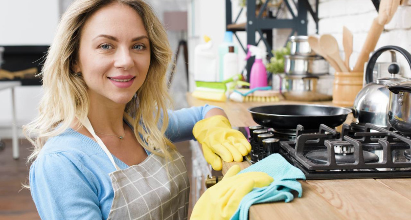 Господдержку домохозяек одобряют 58% воронежцев 