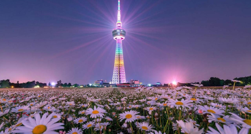 Воронежская телебашня засияет ромашками в День семьи, любви и верности 