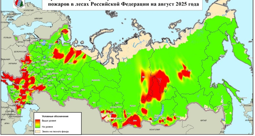 Воронежская область в зоне повышенного риска лесных пожаров
