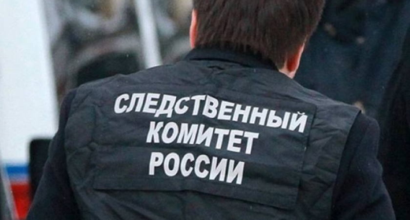 Житель Аннинского района пойдёт под суд за смертельное избиение бывшей жены