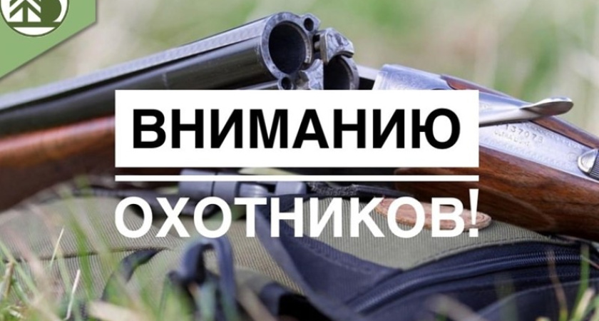 В регионе стартует приём заявок на разрешение для охоты на пушных животных