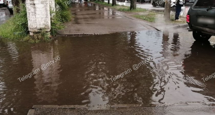 В Воронеже на улице Минской огромная лужа перекрыла вход на подстанцию скорой помощи