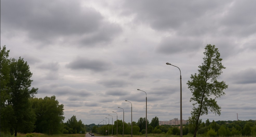 В Воронеже 14 августа ожидается облачная погода без осадков