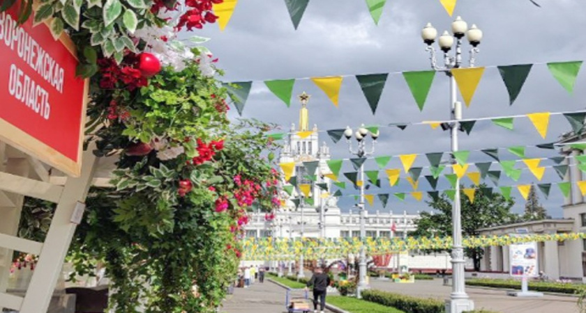 Воронежская область угощает москвичей на гастрономическом фестивале «Вкусы России»