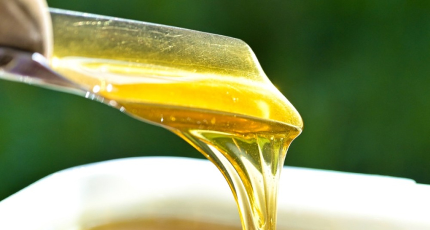 Воронежская область вошла в пятёрку лидеров по количеству собранного мёда в России