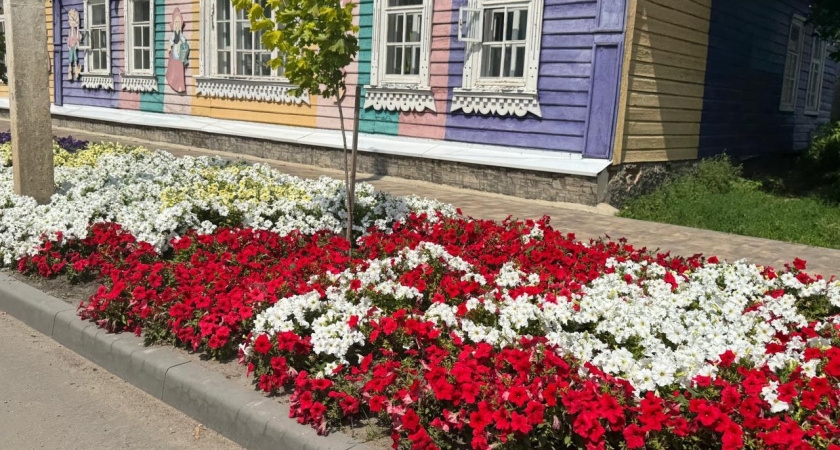 Как создать роскошную клумбу почти бесплатно: 7 хитростей дачников, которые превратят клумбу в шедевр