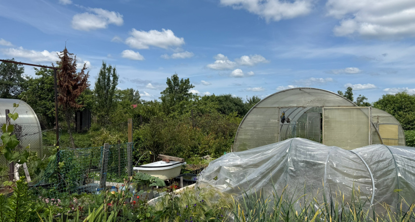 Теплицы нового поколения – поликарбонат уже прошлый век: придумали более долговечную замену без трещин, пыли и потёков грязи