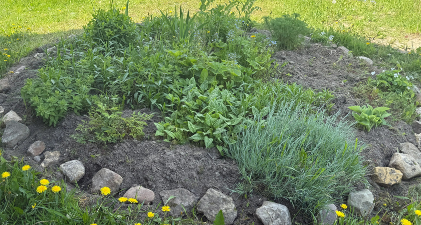Триммер — это прошлый век: для ленивых садоводов придумали новое устройство — одни преимущества