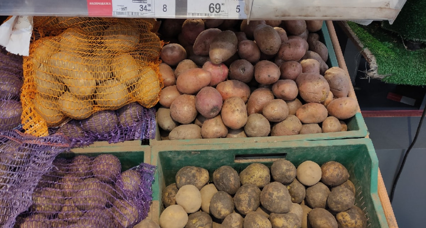 Засыпаю сверху на картошку и не переживаю до весны — соседи просят раскрыть 1 простой трюк: как я спасаю урожай от сырости