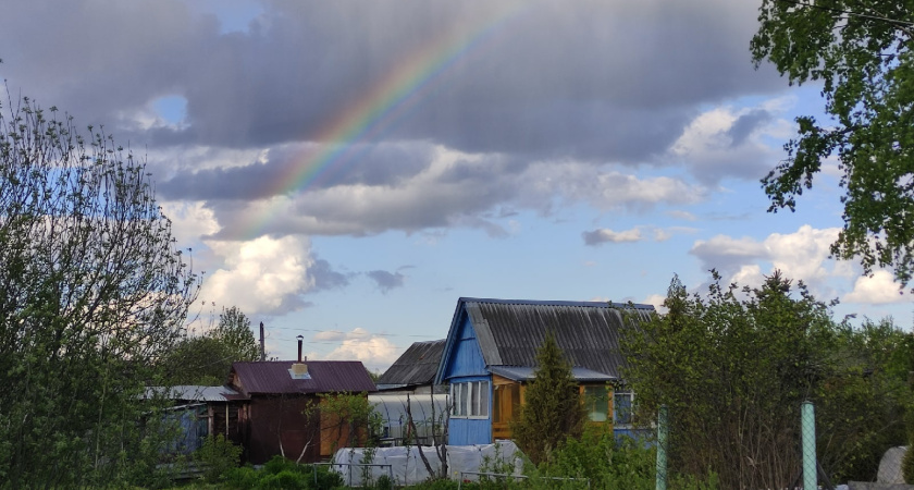 Надоели мухи в дачном туалете — как я избавилась от проблемы без химии и лишних трат