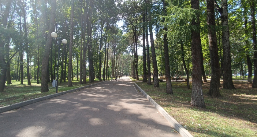 Почему одни женщины счастливы в отношениях, а другим вечно не везет: гениальный ответ Зигмунда Фрейда