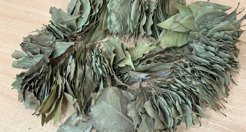 Перед началом уборки следую совету свекрови и кипячу лавровый лист - лучший бытовой лайфхак