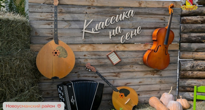 В Новоусманском районе прошёл первый фестиваль «Классика на сене»