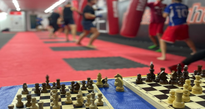 Воронежские спортсмены взяли медали Кубка России по шахбоксу в Санкт-Петербурге