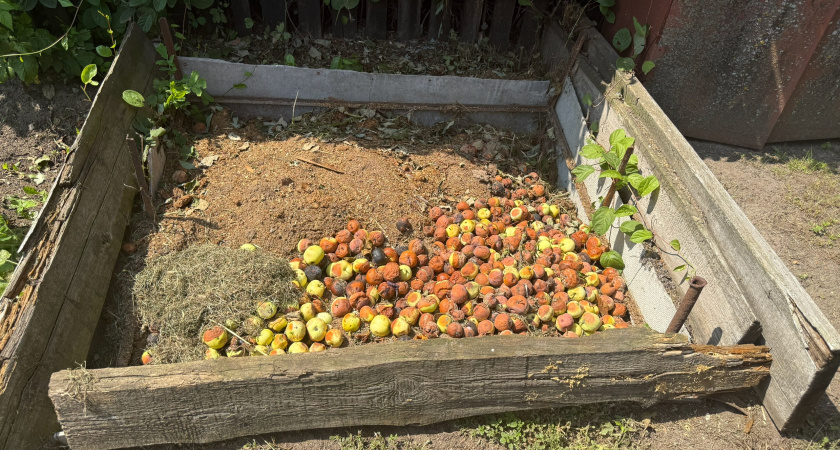 3 ложки на кучу — перегниют даже толстые ветки: как приготовить компост за один сезон — рецепт от агронома