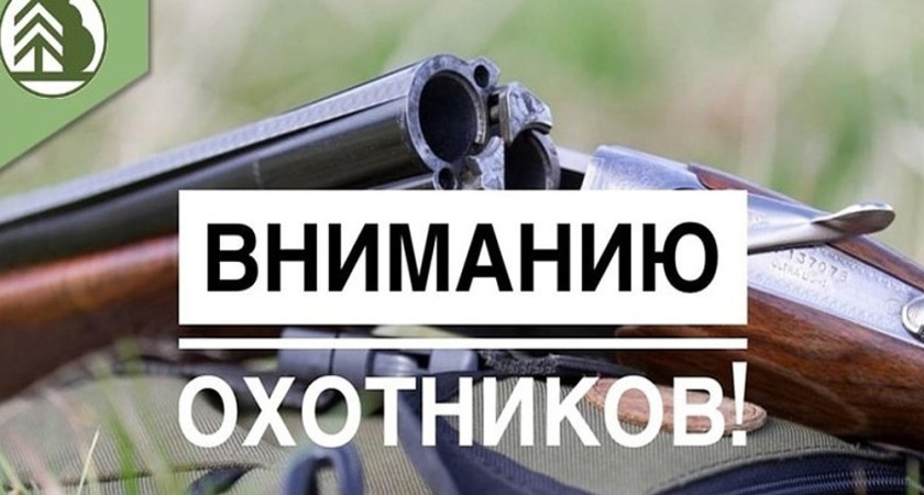 В Воронежской области завершили приём заявлений на добычу пушных животных