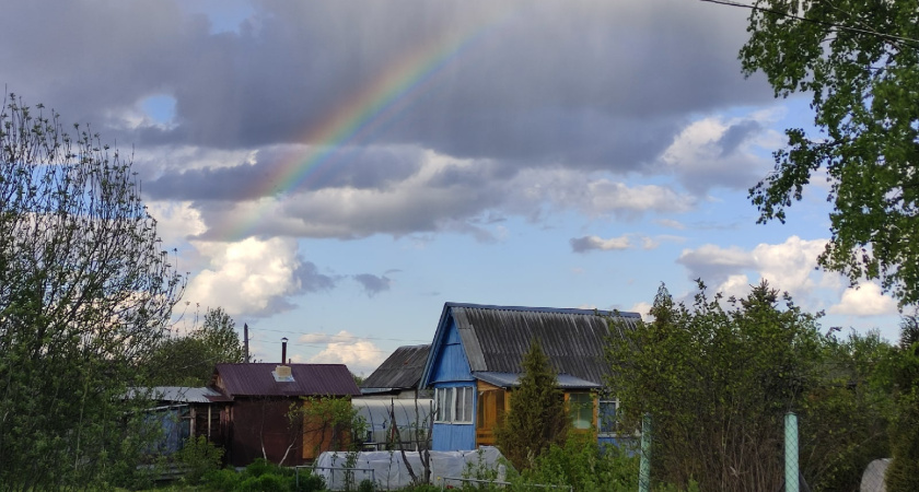 Больше вам не пригодятся рабица и поликарбонат: этот забор выйдет в 10 раза дешевле и прослужит долго