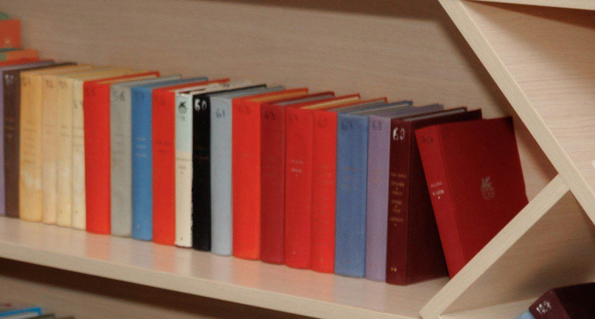 В Воронежской области налажена система обеспечения школьников учебниками