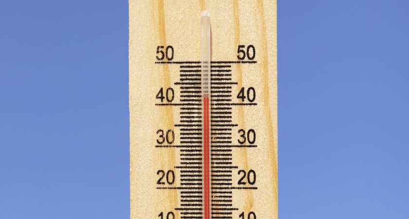 В Воронежской области объявлено предупреждение из-за аномальной жары