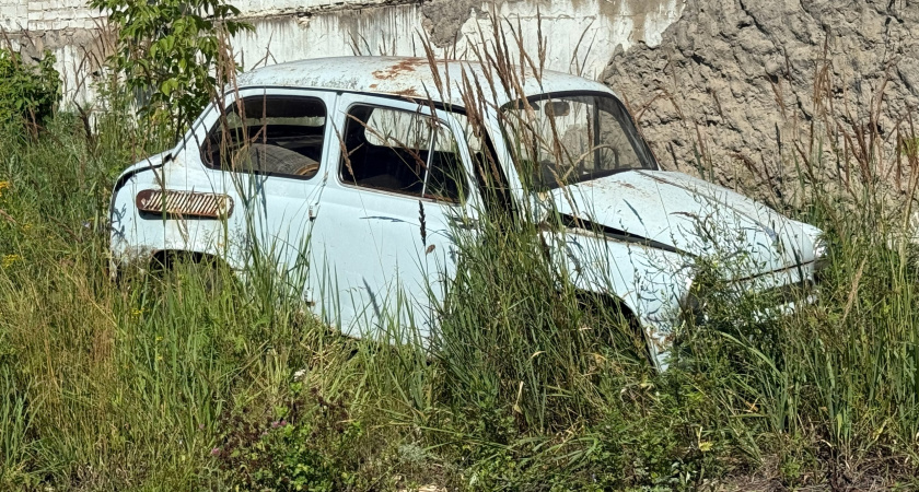 Как убрать «рыжики» на кузове: автомаляр перечислил 3 лучших способа — без поездки в сервис