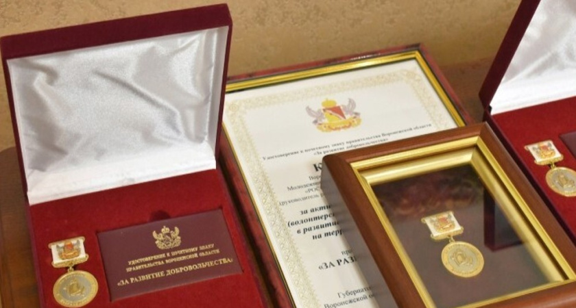 В Воронежской области появится почётный знак для лучших волонтёров