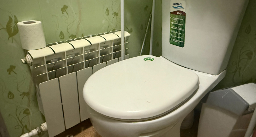 Используем соль, чтобы унитаз сверкал как только что из магазина: действенные способы чистки