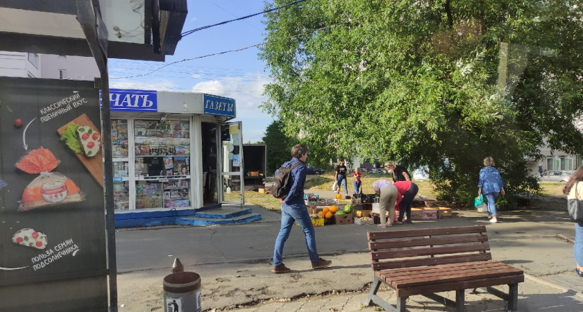 Как выбирают арбуз настоящий знатоки: 5 признаков того, что вы не ошиблись