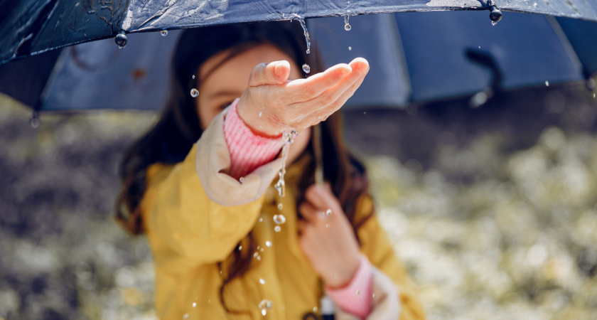 Дождливый вторник сменится солнечной средой в Воронеже