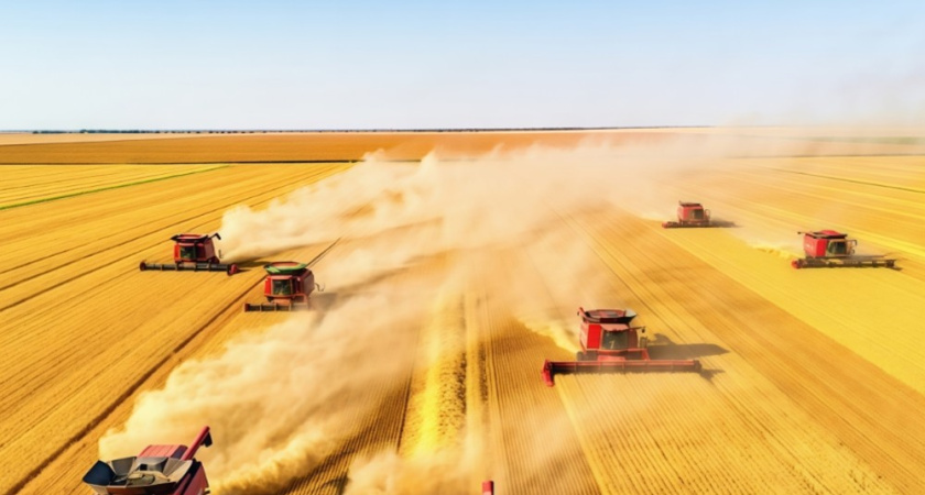 В Воронежской области убрано 4,8 миллиона тонн зерна и начат сев озимых культур