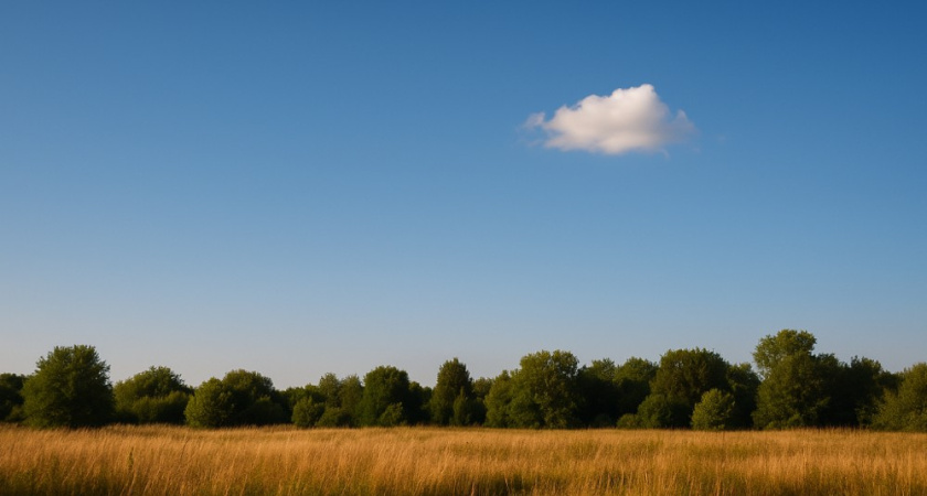 10 сентября в Воронеже ожидается ясный день без осадков и с прохладной ночью