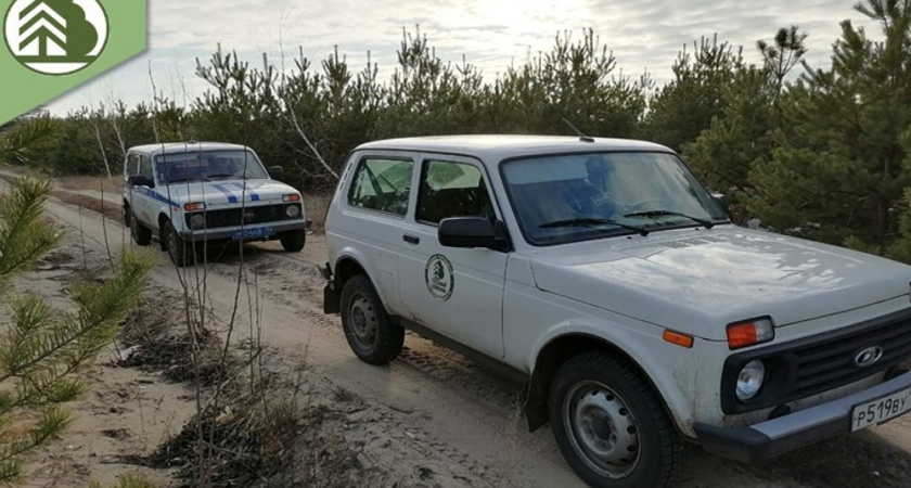 Более 8,5 тысячи рейдов совершили лесные инспекторы с начала года в Воронежской области