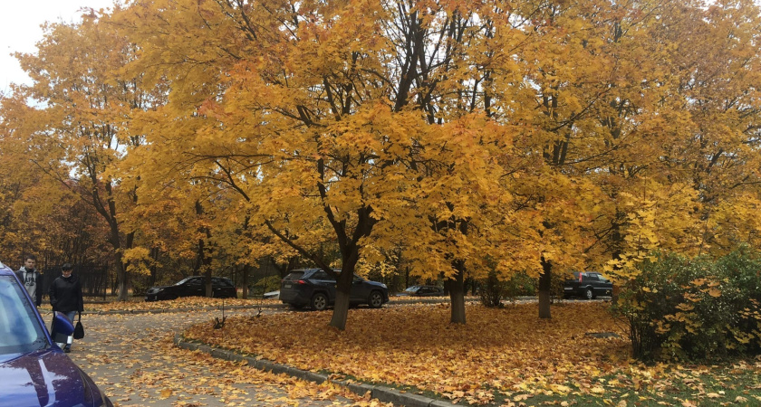 Попробовал пожить с женщиной после одиночества, хватило на 6 месяцев
